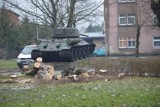 Sławno: Kolejna wycinka drzew koło czołgu T-34 [ZDJĘCIA] - szukają wykonawcy przebudowy skweru
