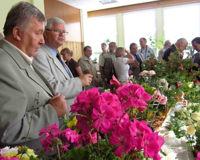 Po obu stronach Olzy są wystawy m.in. z kwiatami i owocami