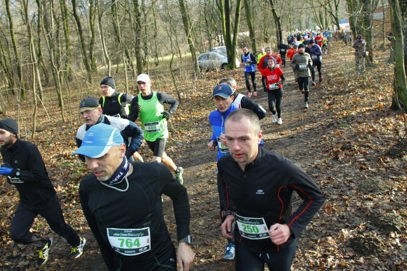 Poznań: Akcja &quot;zBiegiem Natury&quot;. Setki biegaczy nad Rusałką [ZDJĘCIA]