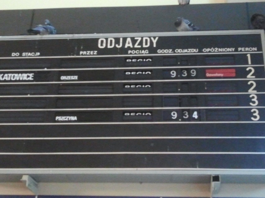 Jest 9.30, gdy już mamy wysiadać w Rybniku, gdy dopada nas...