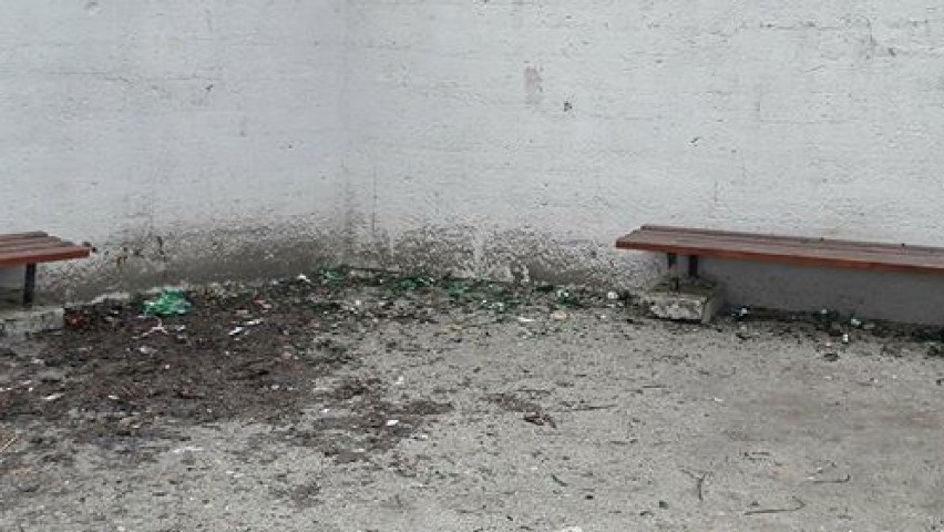 Mieszkańcy Malborka skarżą się na brud i rozbite butelki w Parku Miejskim [LIST OD CZYTELNIKA]
