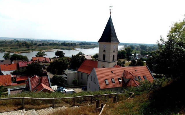 Herb diecezji ustanowiony przez bpa Tadeusza Lityńskiego nawiązuje m.in. do herbu diecezji lubuskiej, która miała siedzibę w Lubuszu.