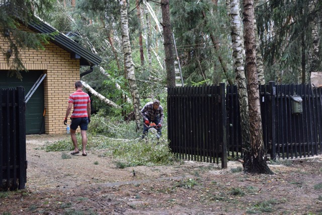 Trąba powietrzna w Joachimowie Mogiłach (gmina Bolimów) trwała w niedzielę wieczorem zaledwie trzy minuty, a powaliła masę drzew. Na szczęście nie ucierpiały specjalnie zabudowania. Wioska pozbawiona jest energii elektrycznej. Taka sytuacja może potrwać trzy dni.