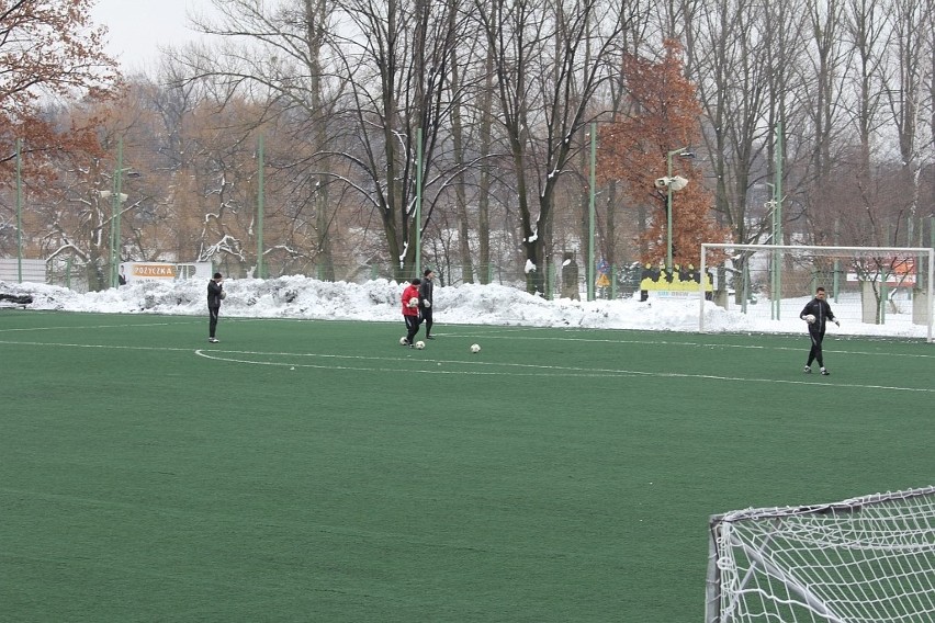 Stadion Śląski: Jedyne zielone boisko w zimowym regionie [ZDJĘCIA]
