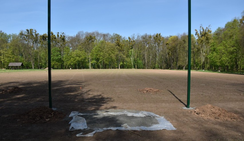 Malbork. Nowe boisko do piłki nożnej powstaje na polanie w Parku Miejskim. Powoli zaczyna rosnąć trawa 