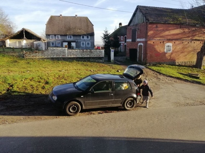 Świąteczna paczka dla zwierząt od uczniów szkoły w Kopnicy [ZDJĘCIA]