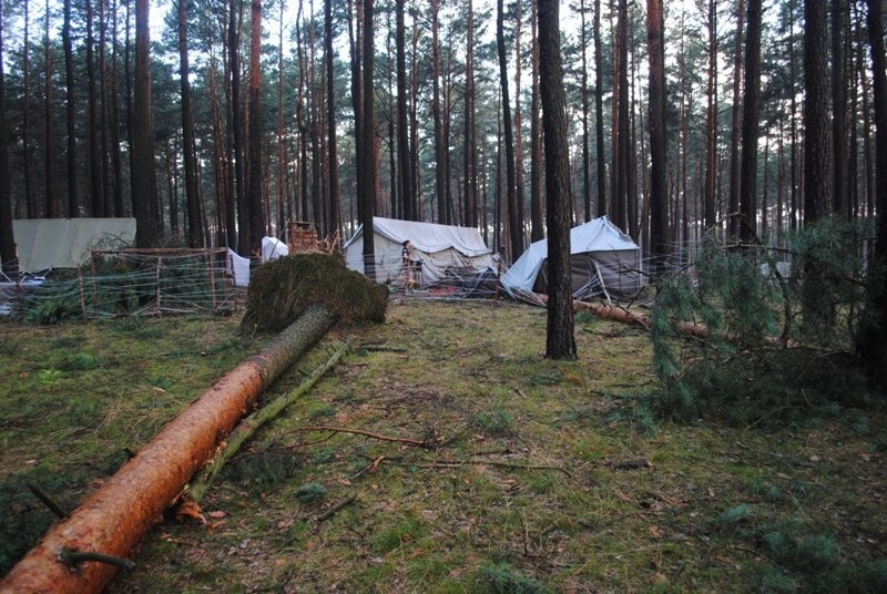 Kataklizm trwał zaledwie kilkadziesiąt sekund. Z ziemi wiatr...