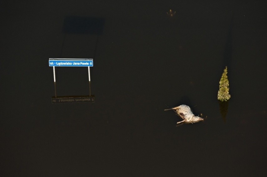 XV Pomorski Konkurs Fotografii Prasowej Gdańsk Press Photo...