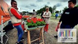 Wiosenny kiermasz roślin odbył się w Złoczewie (zdjęcia)