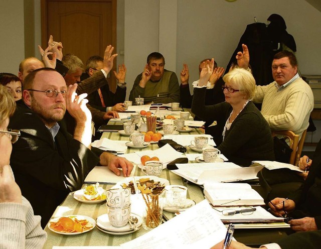 Radni z Czarnej Dąbrówki w sprawie obniżenia sobie kar byli niemal jednomyślni