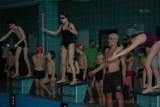 Mistrzostwa Zawiercia w pływaniu [ZDJĘCIA]
