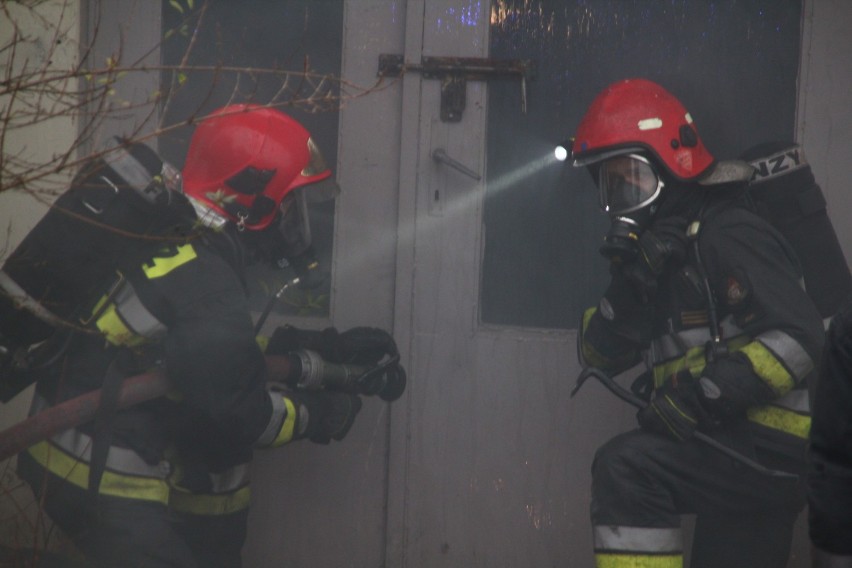 Niecodzienne ćwiczenia strażaków przy Wspólnej [ZDJĘCIA I FILM]