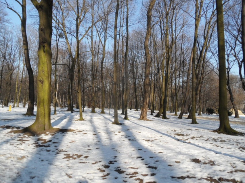 Bytom : Park - przedwiośnie 2015. Spacer po parku miejskim im. F. Kachla