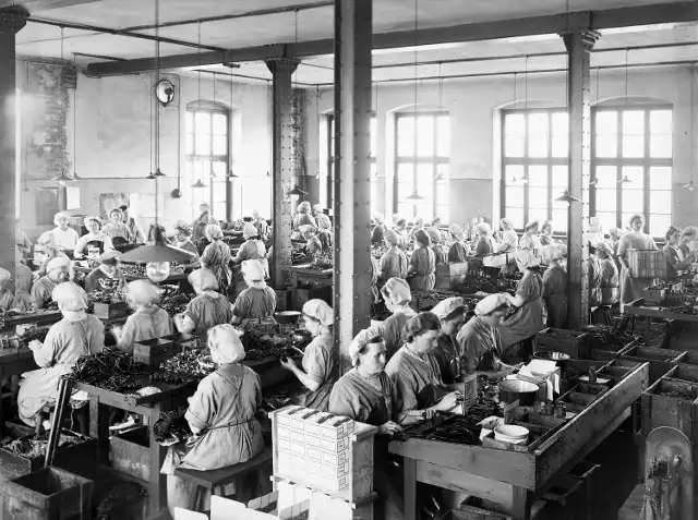 Przed wojną pracowało tu 800 raciborzan! Fabryka tabaki i papierosów Josefa Domsa