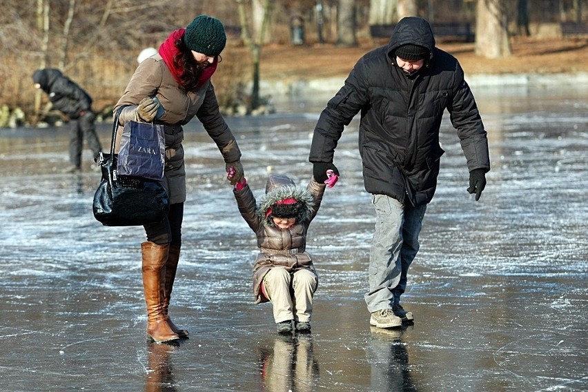 31.01.2012 Wrocław...