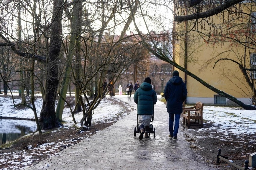 Tak wyglądał Park Oliwski w sobotę 7 stycznia.