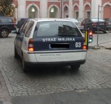 Wszystkie auta straży miejskiej będą srebrne