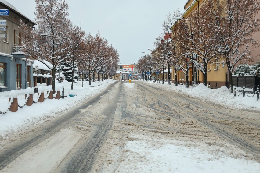 Zima 2023/2024 w Olkuszu - 03.12.2023r.