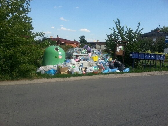 Tak wyglądają śmietniki na terenie gminy wiejskiej Lubin