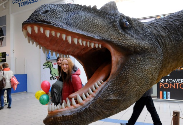 Potężne dinozaury można oglądać w hipermarketach E.Leclerc przy ul. Zana i Turystycznej w Lublinie