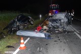 Wypadek w Pełkowie koło Zalca. Ford uderzył w watahę dzików [ZDJĘCIA]