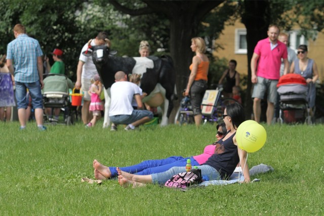Piknik rodzinny "Więcej życzliwości" w Parku Górczewska