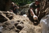 Archeolodzy wracają na Brus