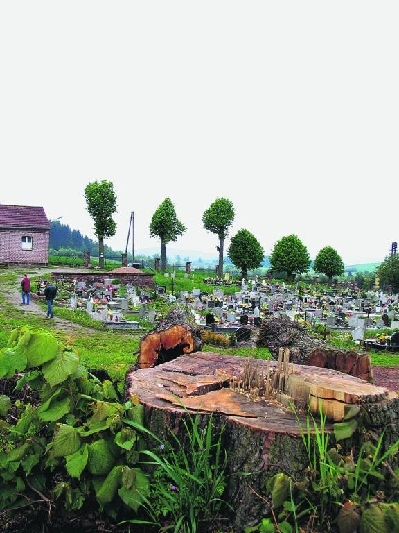 Ksiądz z Woliborza nie czekał na decyzję gminy i sam wyciął drzewa na cmentarzu