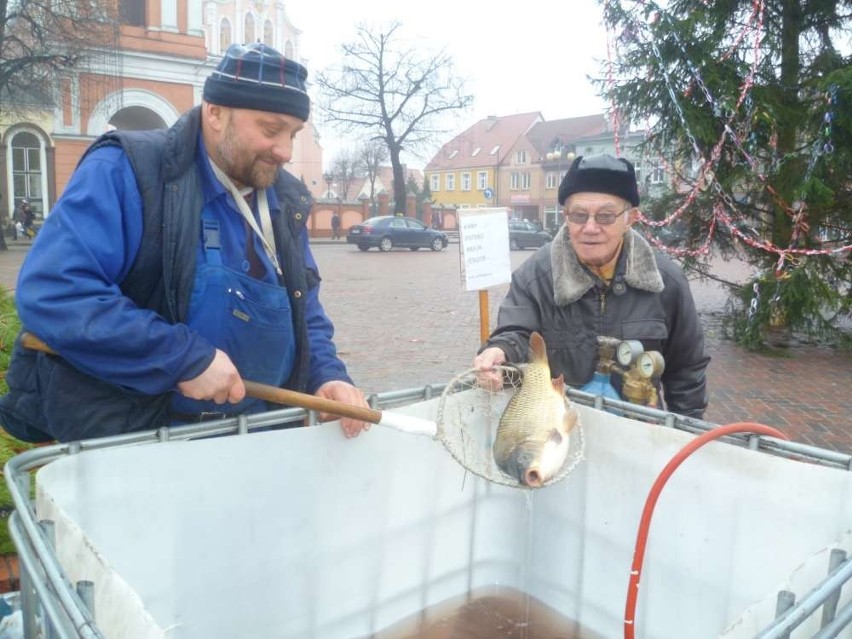 Chodzież: Karp już w sprzedaży. Ile zapłacimy za ryby? [FOTO]