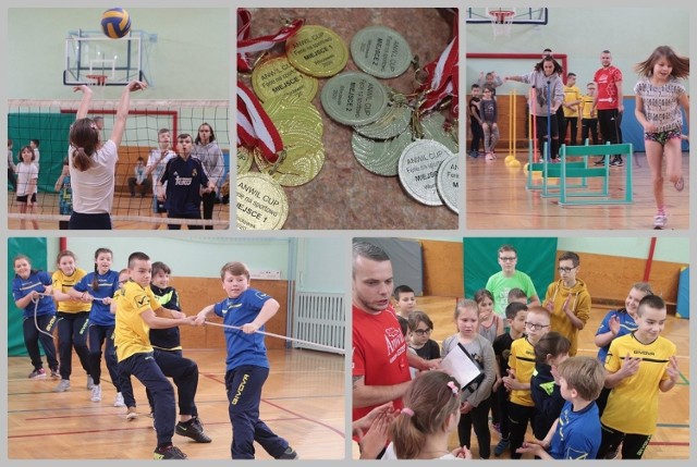 W sali sportowej Zespołu Szkolno-Przedszkolnego nr 1 we Włocławku przy ul. Gałczyńskiego w  ramach akcji &bdquo;Ferie na sportowo&rdquo; zorganizowano Integracyjny Turniej Anwil Cup. Udział wzięły zespoły Wielofunkcyjnej Plac&oacute;wki Opiekuńczo-Wychowawczej w Brzeziu, Plac&oacute;wki Opiekuńczo-Wychowawczej w Lubieniu Kujawski i gospodarze, uczniowie Szkoły Podstawowej nr 20 w ZSP nr 1 we Włocławku. Tak naprawdę nie chodziło o rywalizację, ale o  dobrą zabawę.