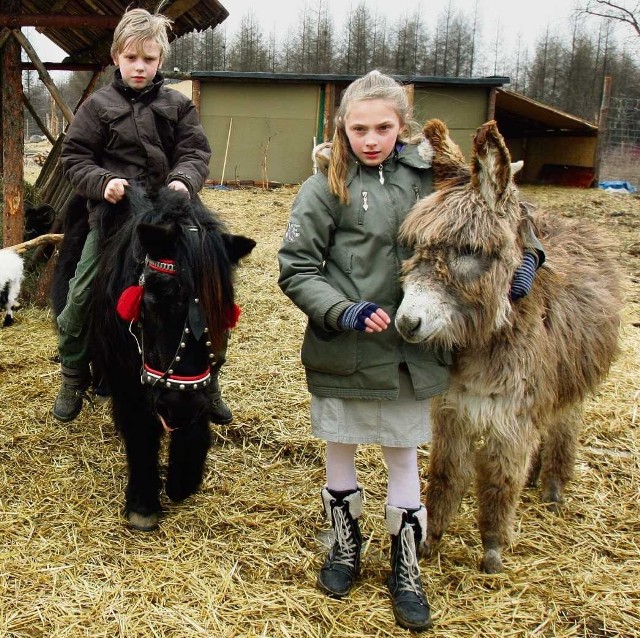 Zwierzęta w zagrodzie Janusza Arasimowicza są atrakcją dla dzieci