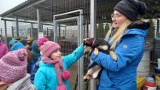 Mali wolontariusze z klas I-III ZSP W Nądni, pomagają zwierzętom ze schroniska w Nowym Dworze. Zajęcia z opieki nad pieskami w schronisku
