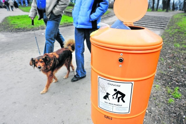 Wrocław jest "okupowany". Radni: Za mało było akcji promujących sprzątanie po psach