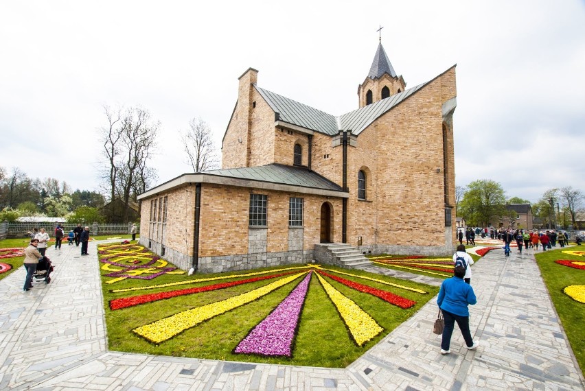 Spycimierskie Święto Tulipana