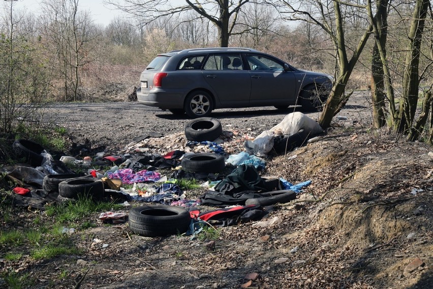 Dzikie wysypisko śmieci  w Legnicy.