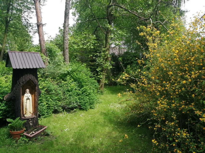 Parafialny ogród botaniczny przy Sanktuarium Matki Bożej w...