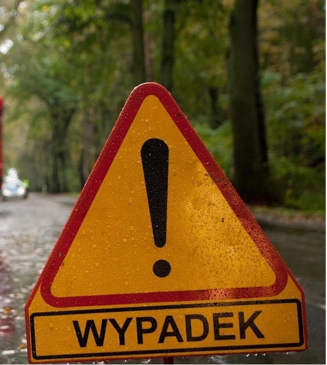Na leśnym odcinku drogi w poznańskiej Głuszynie doszło w piątek rano do wypadku. Dwie osoby odniosły rany