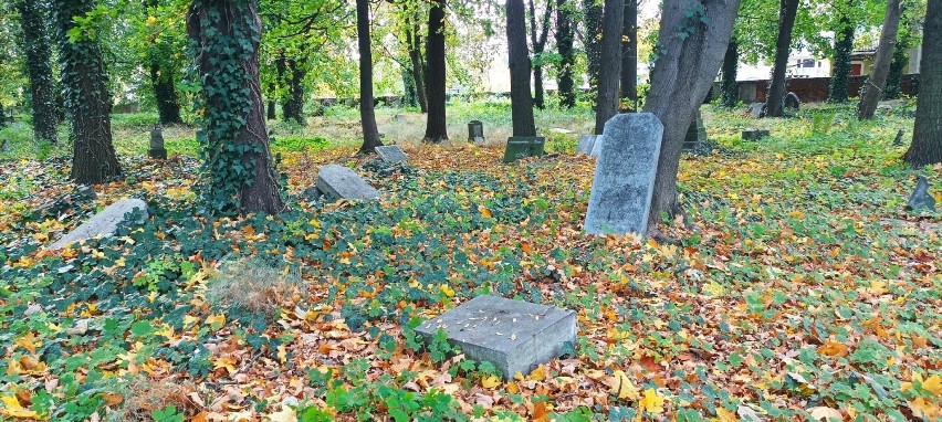 Dziś po pracach na ewangelickiej nekropolii w w...