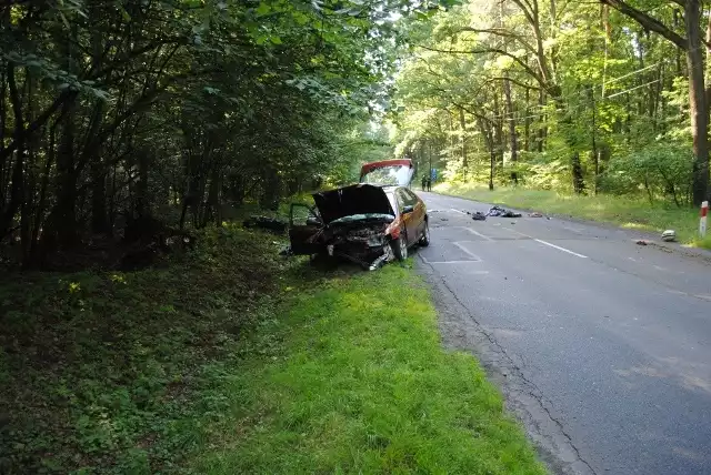 Na drodze między Uniejowem a Poddębicami zginął motocyklista. Najprawdopodobniej zderzył się z sarną.