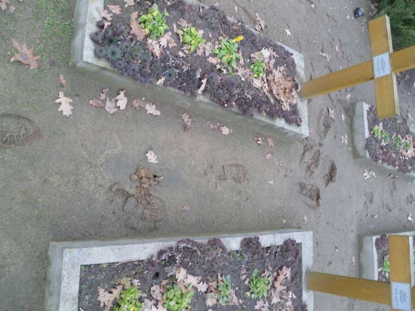 Nieznani sprawcy zniszczyli 48 grobów na cmentarzu w Pniewach