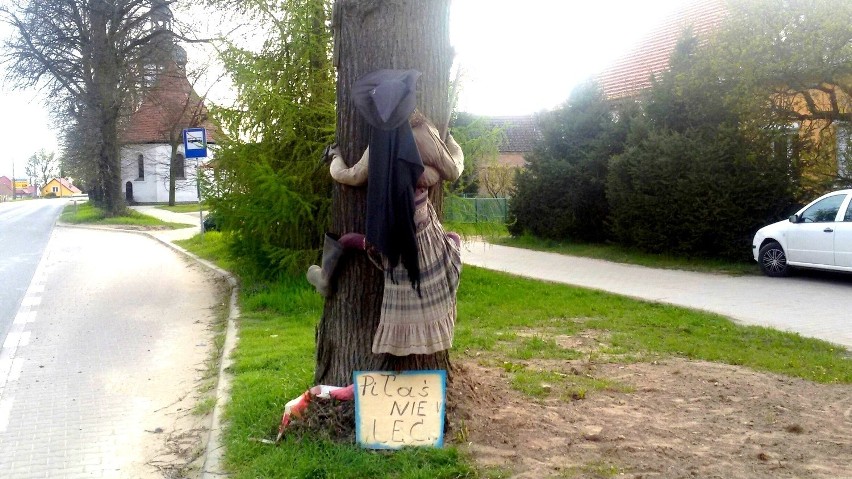 Ta czarownica "wylądowała" na drzewie w Łupowie.