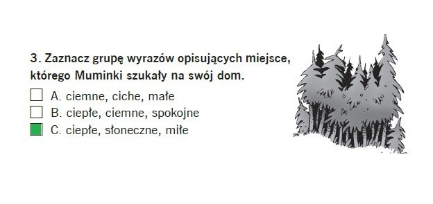 Sprawdzian trzecioklasisty 2013 z Operonem. Egzamin z polskiego i matematyki [TESTY I ODPOWIEDZI]