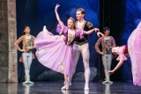 "Jezioro łabędzie". Moscow City Ballet wystąpił w opolskim Okrąglaku