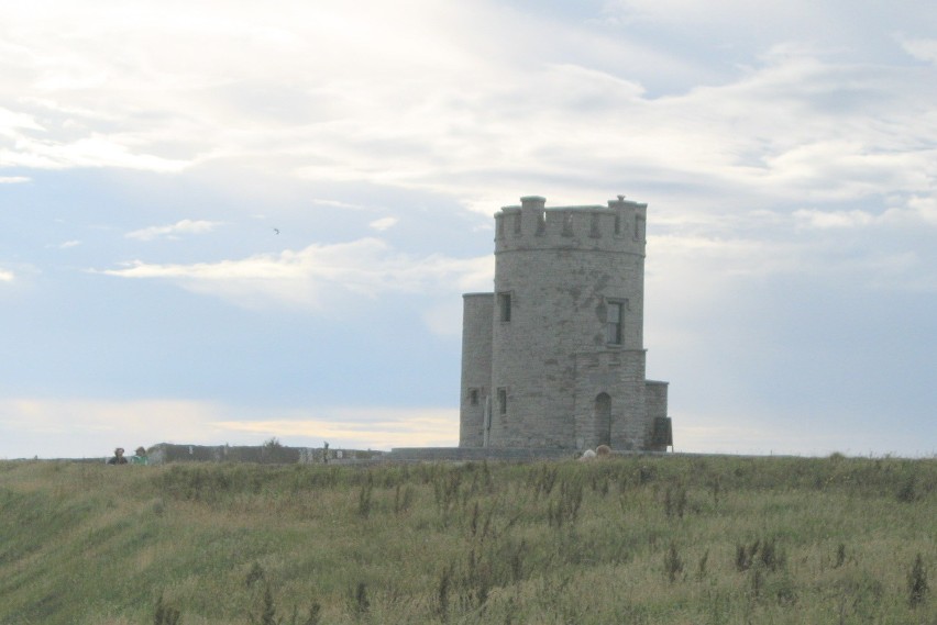 Klify Moher w pięknej, zielonej Irlandii (ZDJĘCIA)