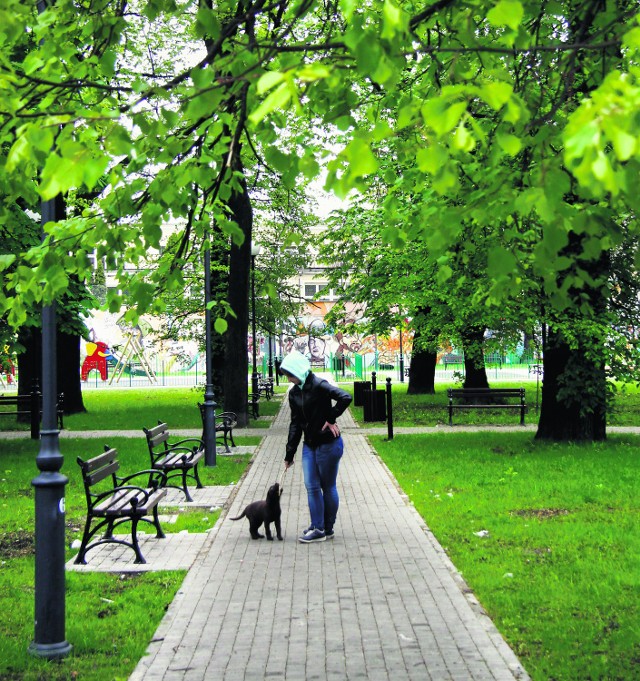 Plac między Centrum Kultury przy ul. Peowiaków a ul. Karłowicza. Tu miałby  stanąć pomnik ofiar katastrofy smoleńskiej