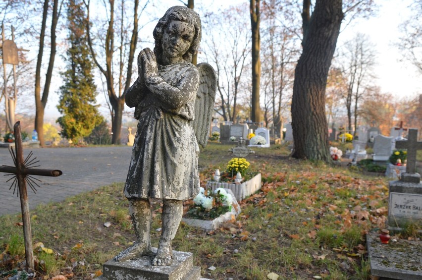 W Gorzowie jest kilka cmentarzy. Największy, komunalny,...