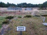 Na Glinkach w Toruniu wycięto ponad 160 drzew. Dlaczego?