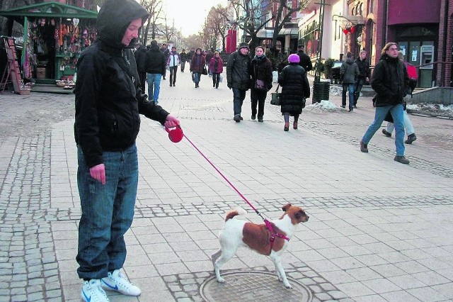Paulina Wrochna żali się, że nie ma gdzie wyprowadzać psa