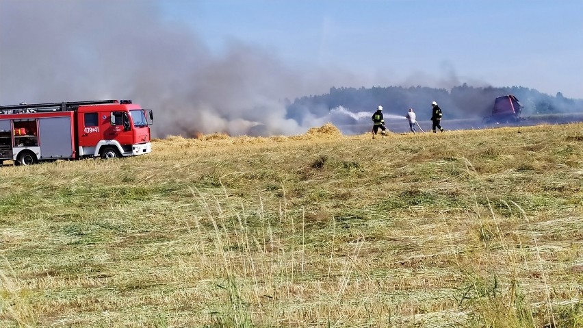 Sucho na polach, łąkach i w lasach. Efektem pożary, tak jak w Łazowie [zdjęcia]