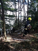 Wdzydze. Pożar lasu na wyspie Glonek na jeziorze Wdzydze (2.08.2022). Strażacy skorzystali z pomocy gaśniczego samolotu ZDJĘCIA 